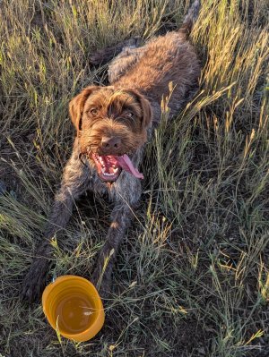 PXL_20250901_130843248.jpg PXL_20250901_130843248.jpg