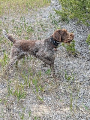 PXL_20250905_161428867.jpg PXL_20250905_161428867.jpg