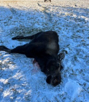 1000004714.jpeg 1000004714.jpeg