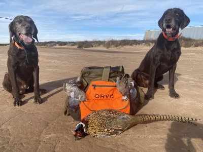 IMG_8822.jpeg IMG_8822.jpeg