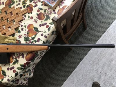 IMG_1102.jpeg IMG_1102.jpeg