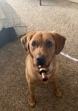 Whisky Duck Call 2.jpg