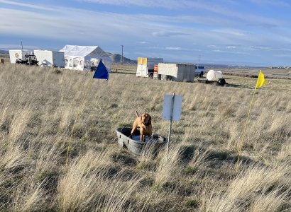 ryder in dunk tank.jpg