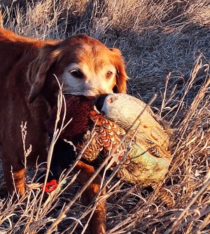 20260106_163147(1).jpg 20260106_163147(1).jpg