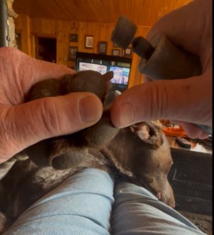 IMG_9117.jpeg IMG_9117.jpeg