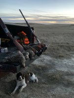 E59CD785-9780-4AD6-BE9E-B93CF7D97699.jpeg E59CD785-9780-4AD6-BE9E-B93CF7D97699.jpeg