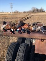 12C01F61-6364-4FB5-85ED-A0044D12E478.jpeg 12C01F61-6364-4FB5-85ED-A0044D12E478.jpeg