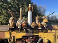 1BC5EB59-0991-4C47-B879-A7E618749F6B.jpeg 1BC5EB59-0991-4C47-B879-A7E618749F6B.jpeg