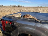 51340952-C782-4B53-8554-0721977F6F5E.jpeg 51340952-C782-4B53-8554-0721977F6F5E.jpeg