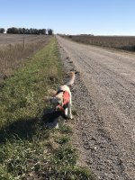 Kepa Iowa opener 2021.jpg Kepa Iowa opener 2021.jpg