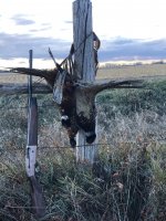 1C7E2BFE-45F2-48D5-8704-9AA8389ECACD.jpeg 1C7E2BFE-45F2-48D5-8704-9AA8389ECACD.jpeg