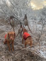 Screen Shot 2021-11-16 at 8.27.43 PM.png