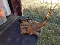 20211127_101908.jpg 20211127_101908.jpg