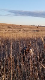 20211128_032257.jpg 20211128_032257.jpg