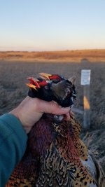 20211127_163455.jpg 20211127_163455.jpg