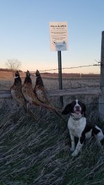 20211127_163655.jpg 20211127_163655.jpg