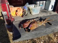 20211130_111043.jpg 20211130_111043.jpg