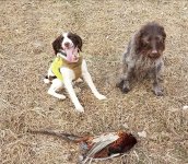 20211205_203543.jpg 20211205_203543.jpg