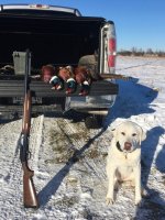 12-11-21 roosters.jpg