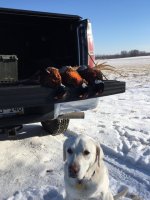 12-23-21 roosters.jpg