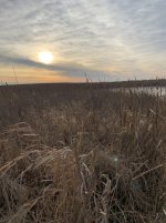 C2A20071-D5FB-4035-AD93-16D16BCBEFB4.jpeg C2A20071-D5FB-4035-AD93-16D16BCBEFB4.jpeg