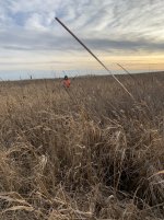 E241E135-9CC9-461F-8433-2AEE3A3A3495.jpeg E241E135-9CC9-461F-8433-2AEE3A3A3495.jpeg