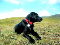 12MileSummit 014.jpg