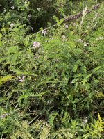 5A225191-4362-4E64-B99C-6DDF8CD8B942.jpeg 5A225191-4362-4E64-B99C-6DDF8CD8B942.jpeg