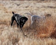 07-DSC_0008.JPG 07-DSC_0008.JPG