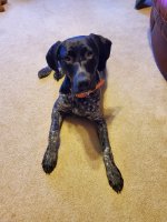 20220209_123733.jpg 20220209_123733.jpg