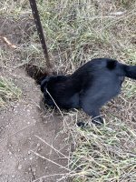 Hunt, 2021-12-4 (3).JPG