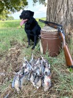 Hunt, 2021-9-1 (5).JPG