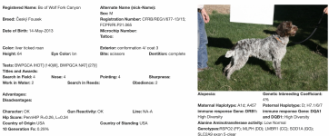 Bo of Wolf Fork Canyon.png