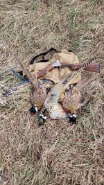 20211209_111717.jpg 20211209_111717.jpg