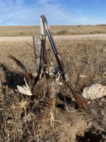 BC1CEF3D-F0ED-4393-B4EE-BA031A2B590F.jpeg BC1CEF3D-F0ED-4393-B4EE-BA031A2B590F.jpeg