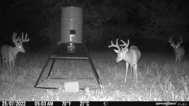 072522 - F4 - 3 nice bucks.jpg