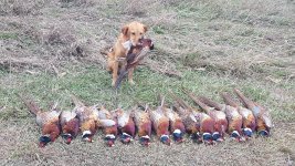 20211120_122538 (1).jpg