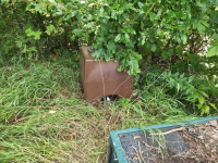 1661172284811.png 1661172284811.png