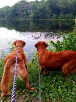 20220826_205900.jpg 20220826_205900.jpg