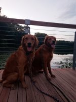 20220826_205552.jpg 20220826_205552.jpg