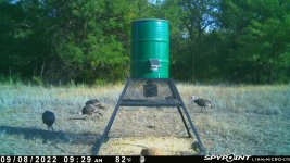 090822 - F4 - 5 Turkey.jpg