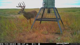 091022 - F3 - 12 pt buck.jpg