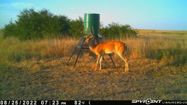 082522 - F2NE - 10 pt buck.jpg