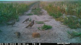 090822 - F1 - 6 ph.jpg