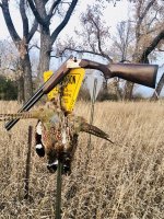 7AEF71A9-BFE3-4F4B-873A-7F47D81D20FD.jpeg 7AEF71A9-BFE3-4F4B-873A-7F47D81D20FD.jpeg