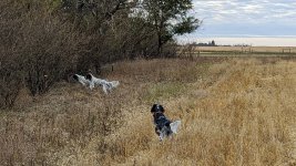 PXL_20221017_140654564~2.jpg PXL_20221017_140654564~2.jpg