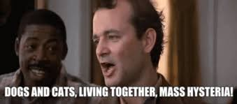 1667420659075.png 1667420659075.png