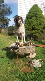 Mick October 2017 2 Wood ducks great retrieve 010.jpg