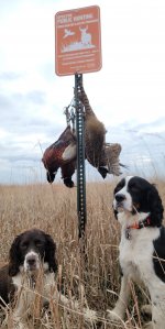 Snapchat-108253439 - Copy.jpg