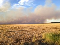 Garys Field 2 2013.JPG